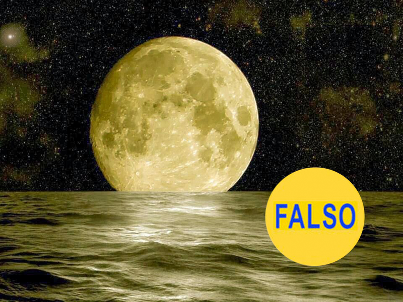 Illustration for article titled 9 fotos virales en Internet que son completamente falsas